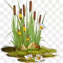 插花艺术.碎木-空若网 插花艺术.碎木-空若网