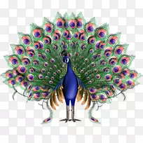 ��ʦ�Ƕ�����ȸPNG-������