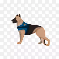 犬种鼻子犬科皮带-数码涂料-空若网 犬种鼻子犬科皮带-数码涂料-空若网