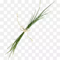 ϸֲ֦�ﾥ����Ʒ��������-������