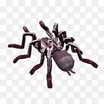 Ö©ÖëͼÏñÎļþ¸ñʽ¼ôÌù»Ö©ÖëÀ¥³æ-¿ÕÈôÍø Ö©ÖëͼÏñÎļþ¸ñʽ¼ôÌù»Ö©ÖëÀ¥³æ-¿ÕÈôÍø