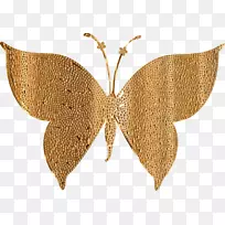 蝴蝶昆虫蛾传粉器剪贴画-蝴蝶-空若网 蝴蝶昆虫蛾传粉器剪贴画-蝴蝶-空若网