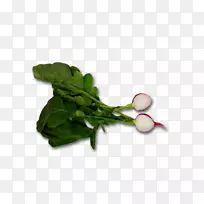 食叶蔬菜配6个方圆菜园-萝卜-空若网 食叶蔬菜配6个方圆菜园-萝卜-空若网