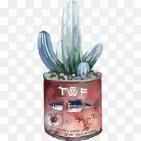 仙人掌科欧式仙人掌-空若网 仙人掌科欧式仙人掌-空若网