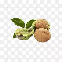 ���ҺͿ��ȵ���.��������-������