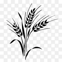 约翰·迪尔·芬特农业拖拉机克劳斯-餐饮单页-空若网 约翰·迪尔·芬特农业拖拉机克劳斯-餐饮单页-空若网