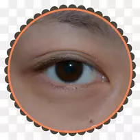 佩斯利和玉石标志活动管理橡胶邮票-空若网 佩斯利和玉石标志活动管理橡胶邮票-空若网