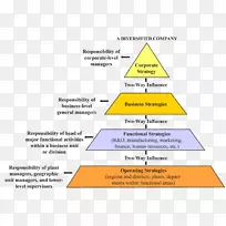 战略管理战略业务单位战略业务计划-业务-空若网 战略管理战略业务单位战略业务计划-业务-空若网