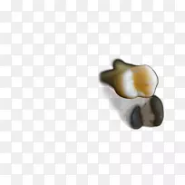 人体珠宝.牙痛-空若网 人体珠宝.牙痛-空若网