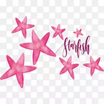 Ë®²Ê»º£ÐÇ.·Ûºìɫˮ²Ê»º£ÐÇ-¿ÕÈôÍø Ë®²Ê»º£ÐÇ.·Ûºìɫˮ²Ê»º£ÐÇ-¿ÕÈôÍø