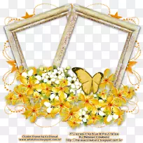 蝴蝶昆虫传粉动物花无脊椎动物黄色冠框图片-空若网 蝴蝶昆虫传粉动物花无脊椎动物黄色冠框图片-空若网