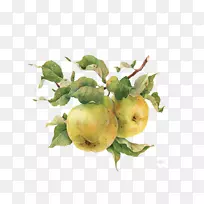 Ë®²Ê»²åͼ.ÊÖ»æÊÁ×Ó-¿ÕÈôÍø Ë®²Ê»²åͼ.ÊÖ»æÊÁ×Ó-¿ÕÈôÍø