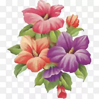 花画画法-花卉画法-空若网 花画画法-花卉画法-空若网