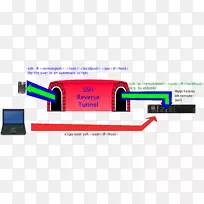 �̱���ƹ��-������