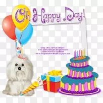 ����װ������ɶ�-����ף��-������