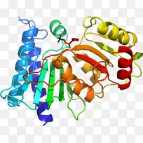 ʳƷ�л���ϵ�м�����-�ϻ���ޣ-������