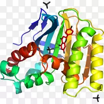 �ߵ����������-�ϻ���ޣ-������