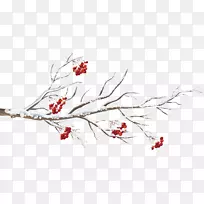 树枝树桌面壁纸剪贴画边框分支-空若网 树枝树桌面壁纸剪贴画边框分支-空若网