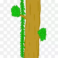 植物茎叶树开花植物-家系树-空若网 植物茎叶树开花植物-家系树-空若网