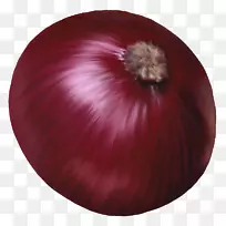 红洋葱蔬菜剪贴画-蔬菜洋葱-空若网 红洋葱蔬菜剪贴画-蔬菜洋葱-空若网