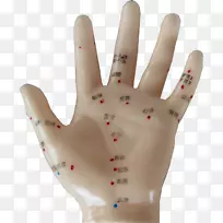 手型手套手指拇指-穴位-空若网 手型手套手指拇指-穴位-空若网