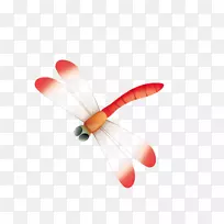 昆虫蜻蜓图标-蜻蜓-空若网 昆虫蜻蜓图标-蜻蜓-空若网