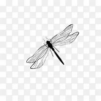 蝴蝶蜻蜓蜻蜓-空若网 蝴蝶蜻蜓蜻蜓-空若网