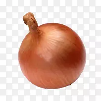 ���������-�������-������