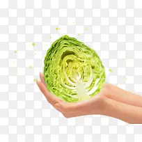 ����ƽ�����-���ž��Ĳ�-������