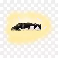 猫狗须,鼻子,竹子水墨画-空若网 猫狗须,鼻子,竹子水墨画-空若网