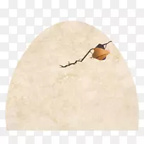 蛋:大自然完美的包装昆虫膜-卵壳-空若网 蛋:大自然完美的包装昆虫膜-卵壳-空若网