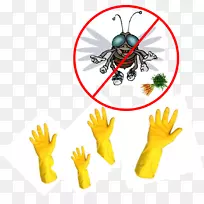 昆虫传粉动物无脊椎动物食物胡萝卜块-空若网 昆虫传粉动物无脊椎动物食物胡萝卜块-空若网