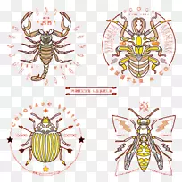 昆虫世界-空若网 昆虫世界-空若网