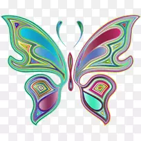 蝶形昆虫-空若网 蝶形昆虫-空若网