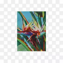 ˮ��ˮ�ʻ�������ϩ��Ϳ��ˮ�ʻ�ˮӡ-������