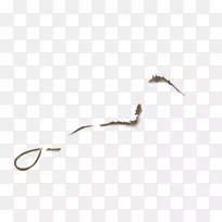 羽毛棕色字体-动态线-空若网 羽毛棕色字体-动态线-空若网