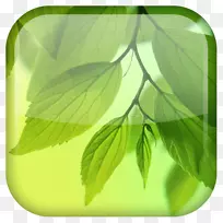 三星星系S4桌面壁纸android-浮动叶-空若网 三星星系S4桌面壁纸android-浮动叶-空若网