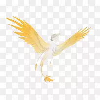 鹰鸟动物喙-金色翅膀-空若网 鹰鸟动物喙-金色翅膀-空若网