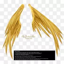 疯狂的翅膀画摄影黑白-金色的翅膀-空若网 疯狂的翅膀画摄影黑白-金色的翅膀-空若网