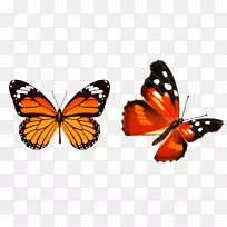 ºûµûֽ̫¿ì-ºûµûÀ¥³æ-¿ÕÈôÍø ºûµûֽ̫¿ì-ºûµûÀ¥³æ-¿ÕÈôÍø