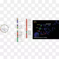 图形设计计算机软件多媒体技术癌症变异细胞-空若网 图形设计计算机软件多媒体技术癌症变异细胞-空若网