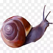 ��ţ���������-��ţ-������