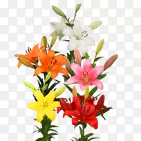 切花花型花束混合花束-空若网 切花花型花束混合花束-空若网