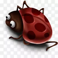 昆虫瓢虫剪贴画.红色昆虫-空若网 昆虫瓢虫剪贴画.红色昆虫-空若网
