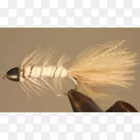 毛羽棕色飘带-空若网 毛羽棕色飘带-空若网