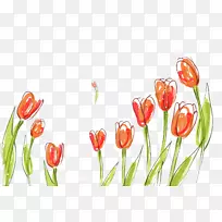 郁金香海报底座-美丽的郁金香-空若网 郁金香海报底座-美丽的郁金香-空若网