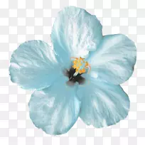 花卉图标-薄荷花-空若网 花卉图标-薄荷花-空若网