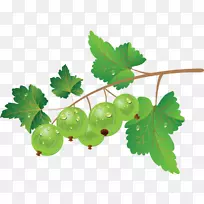 ½¬¹û-À¶Ý®-¿ÕÈôÍø ½¬¹û-À¶Ý®-¿ÕÈôÍø