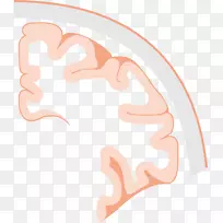 ����ͼ�������-������