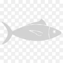 海豚海豚-空若网 海豚海豚-空若网